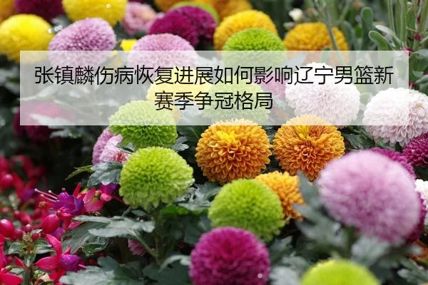 zhang-zhen-lin-shang-bing-hui-fu-jin-zhan-ru-he-ying-xiang-liao-ning-nan-lan-xin-sai-ji-zheng-guan-ge-ju-2-860.jpg