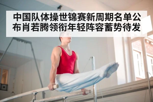 parallel bars gymnastics
