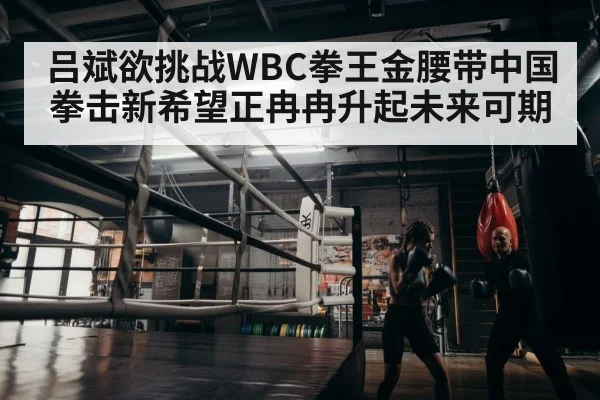 吕斌欲挑战WBC拳王金腰带中国拳击新希望正冉冉升起未来可期