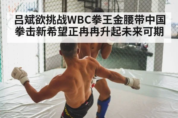 boxing fight